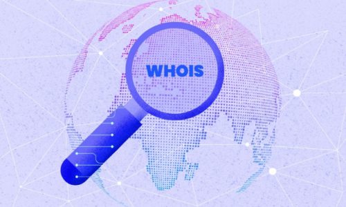 WHOIS – Công cụ tra tên miền đơn giản mà doanh nghiệp không nên bỏ lỡ